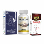 No Fall capsules, Maha Rasayan capsules and King Cobra oil