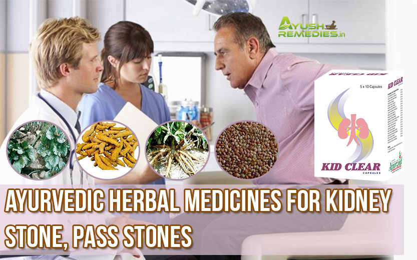 Ayurvedic Herbal Medicines for Kidney Stone