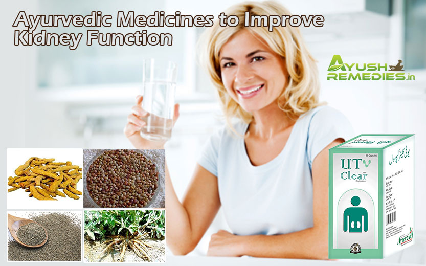 Ayurvedic Medicines To Improve Kidney Function