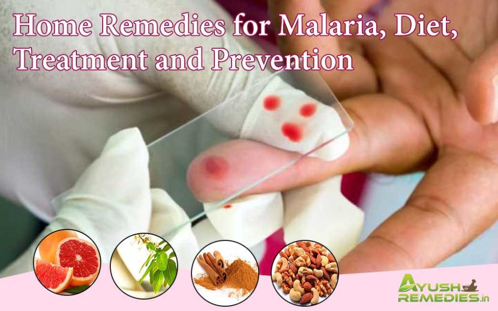 Home Remedies for Malaria