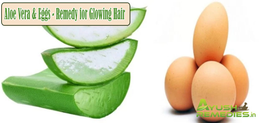 Aloe Vera and Eggs Remedy for Glowing Hair