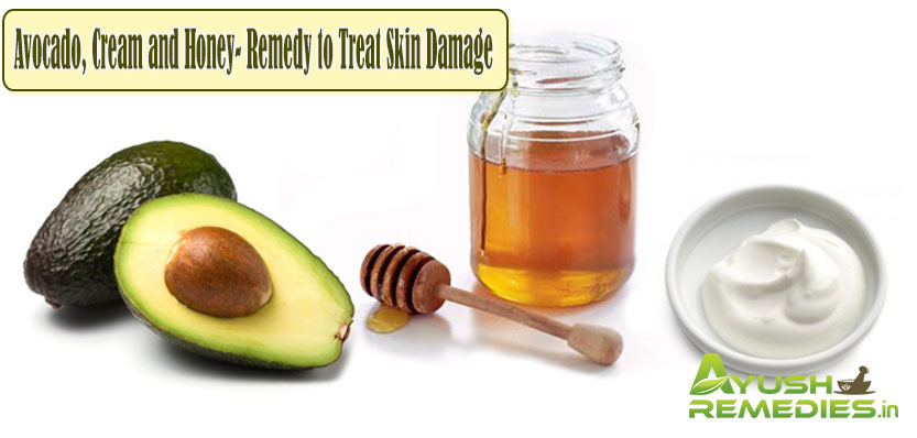 Avocado,Cream and Honey-Remedy to Treat Skin Damage