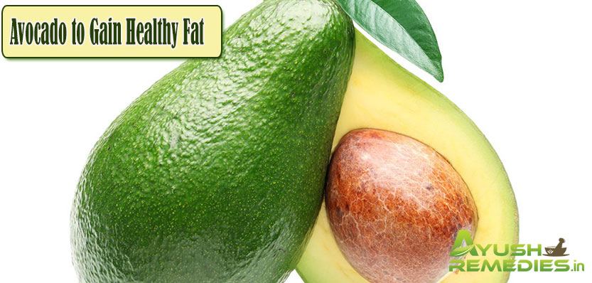 Avocado to Gain Healthy Fat