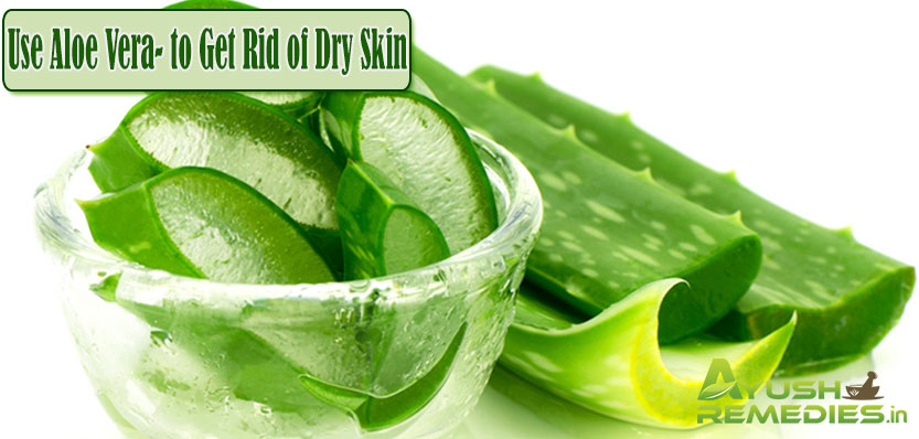 Aloe Vera to Get Rid of Dry Skin