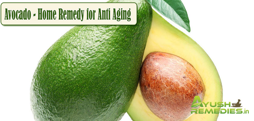 Avocado Home Remedy for Anti Aging