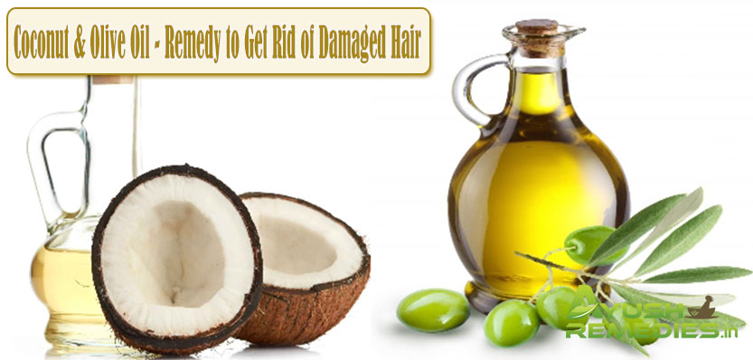 Coconut and Olive Oil Remedy to Get Rid of Damaged Hair