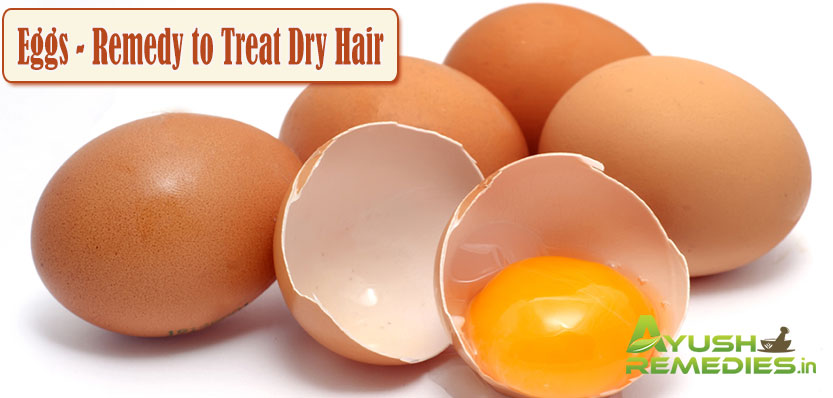 Eggs Remedy to Treat Dry Hair