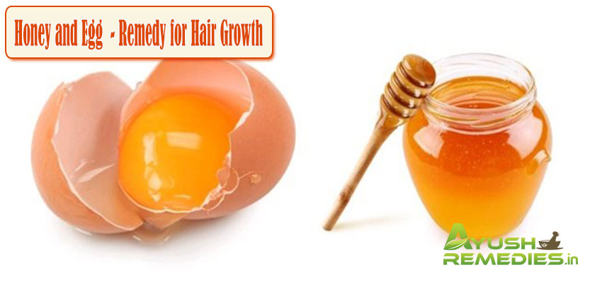 Honey and Egg Remedy for Hair Growth