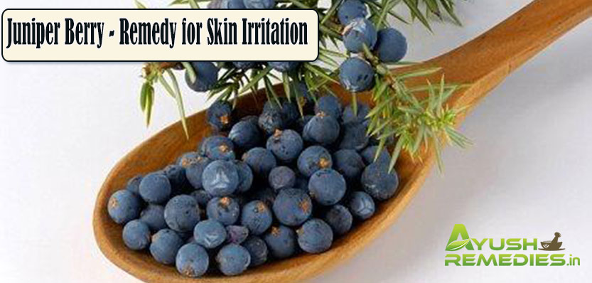 Juniper Berry Remedy for Skin Irritation