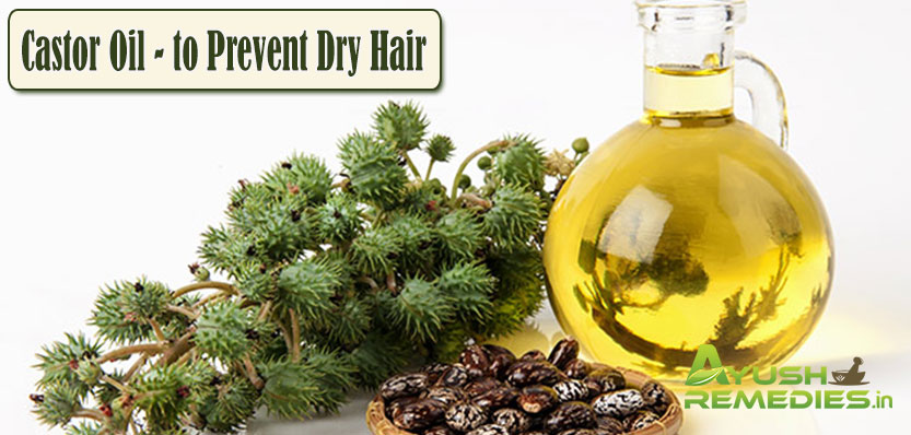 Castor Oil to Prevent Dry Hair