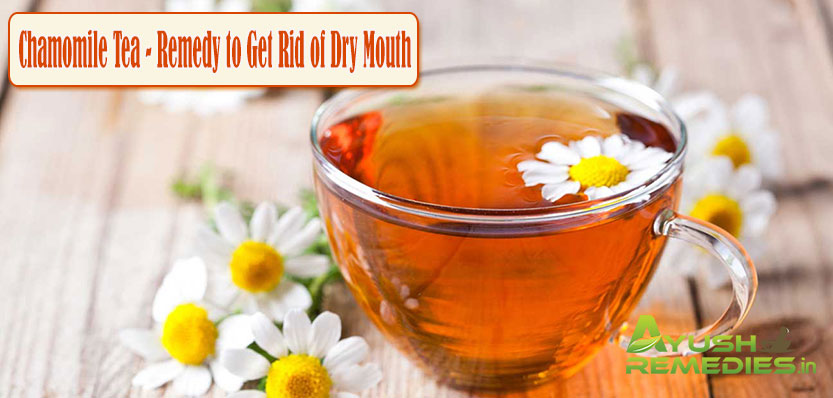 Chamomile Tea Remedy to Get Rid of Dry Mouth