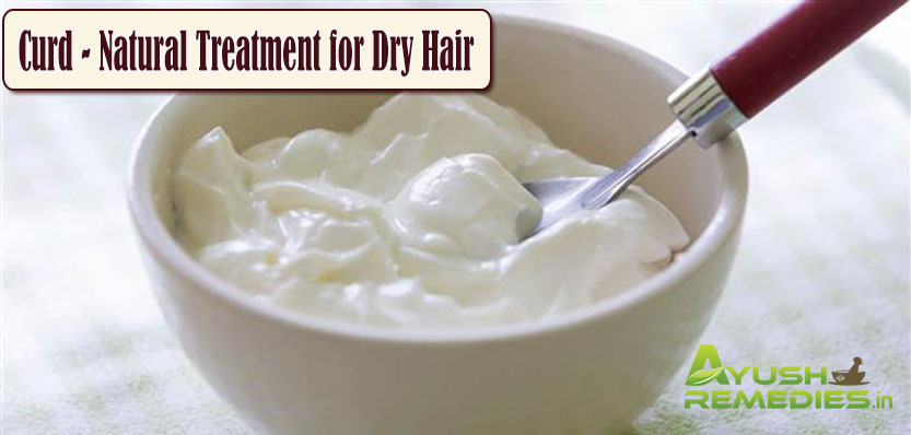 Curd Natural Treatment for Dry Hair