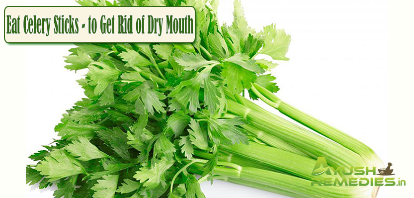 Eat Celery Sticks to Get Rid of Dry Mouth