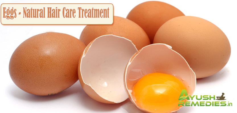 Eggs Natural Hair Care Treatment