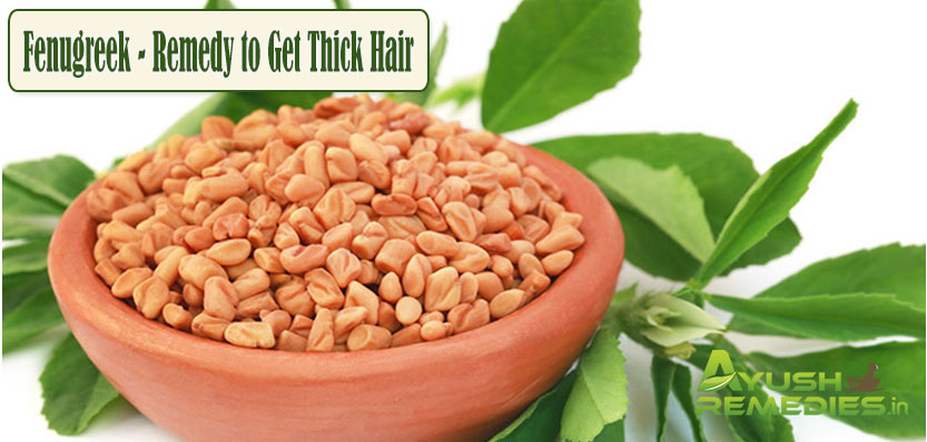 Fenugreek Remedy to Get Thick Hair