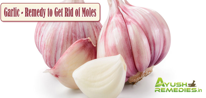 Garlic Remedy to Get Rid of Moles