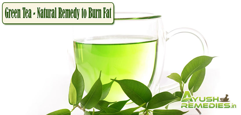 Green Tea Natural Remedy to Burn Fat