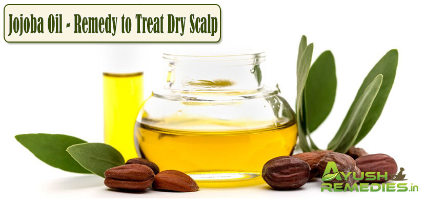 Jojoba Oil Remedy to Treat Dry Scalp