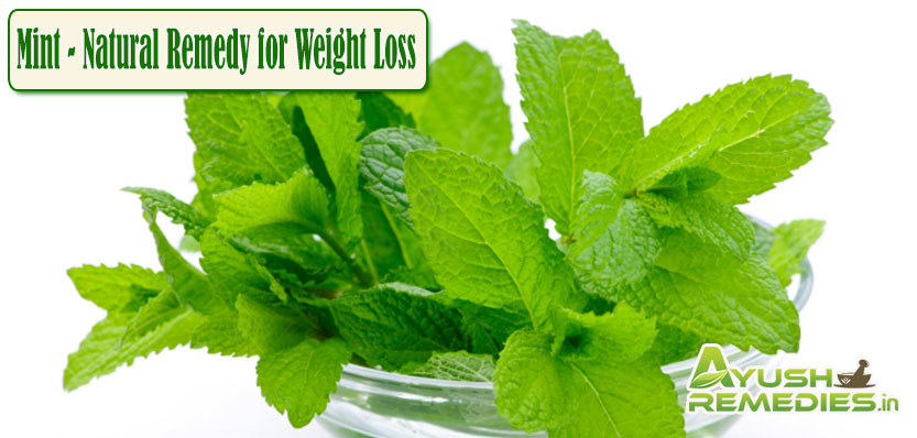 Mint Natural Remedy for Weight Loss