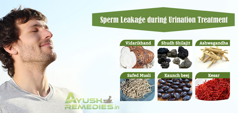 Sperm Leakage During Urination Treatment