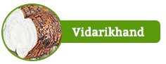 Vidarikhand