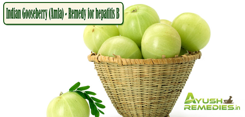 Amla Remedy for Hepatitis B