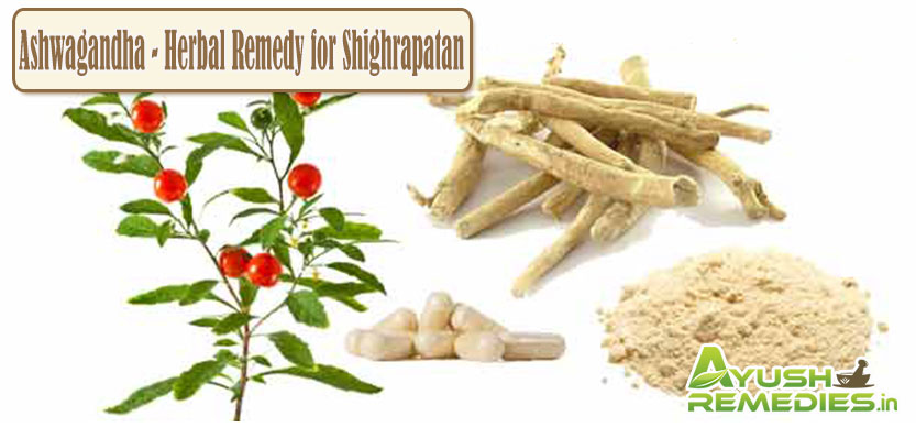 Ashwagandha Herbal Remedy for Shighrapatan