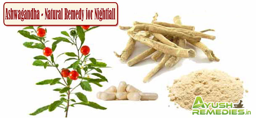 Ashwagandha Natural Remedy for Nightfall