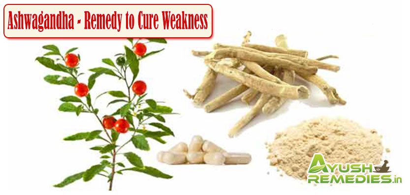 Ashwagandha Remedy to Cure Weakness