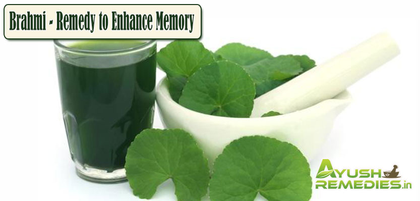 Brahmi Remedy to Enhance Memory