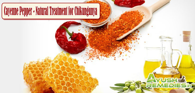 Cayenne Pepper Natural Treatment for Chikungunya