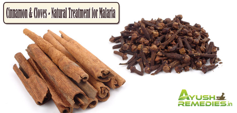 Cinnamon and Cloves Natural Treatment for Malaria