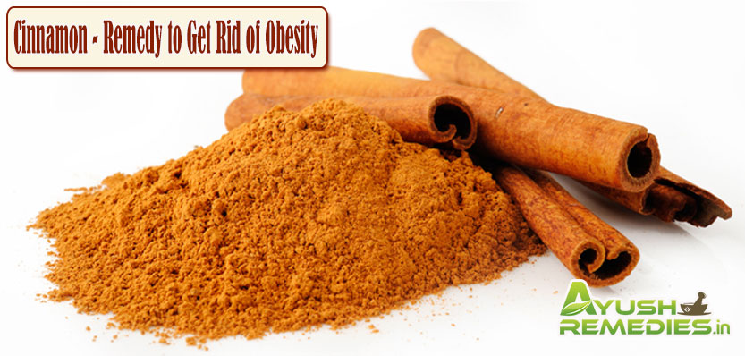 Cinnamon Remedy to Get Rid of Obesity