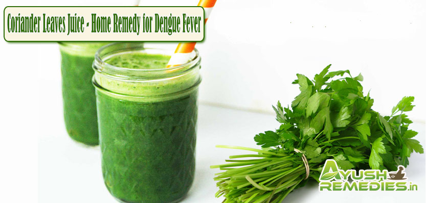 Coriander Leaves Juice Remedy for Dengue Fever