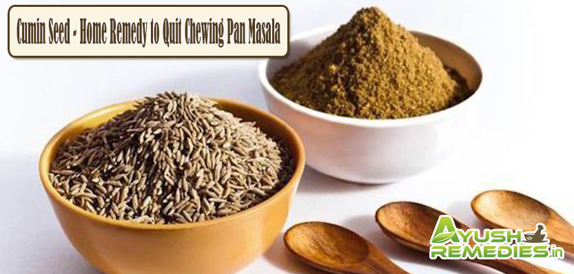 Cumin Seed Remedy to Quit Chewing Pan Masala