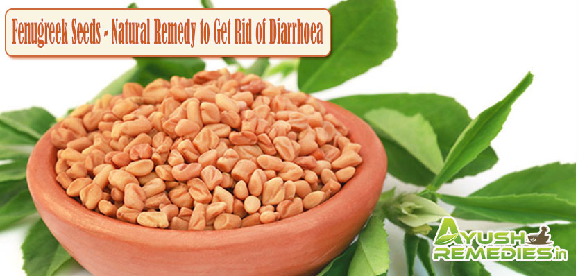 Fenugreek Seeds Natural Remedy to Get Rid of Diarrhoea