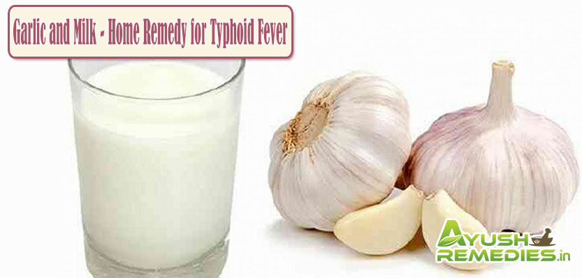 Garlic and Milk Home Remedy for Typhoid Fever