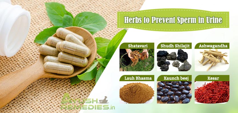 Herbal Remedies to Prevent Sperm in Urine