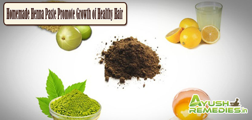 Homemade Henna Paste Promote Growth of Healthy Hair