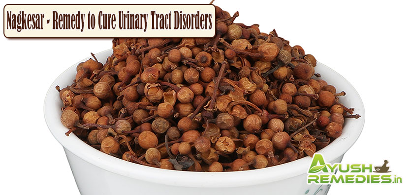 Nagkesar Remedy to Cure Urinary Tract Disorders