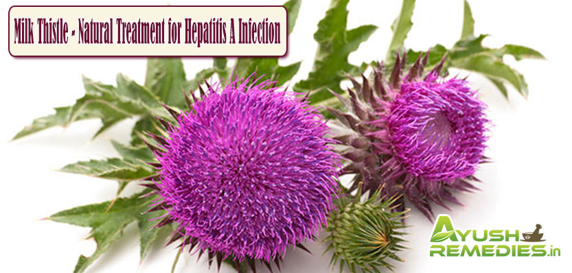 Natural Treatment for Hepatitis A Infection