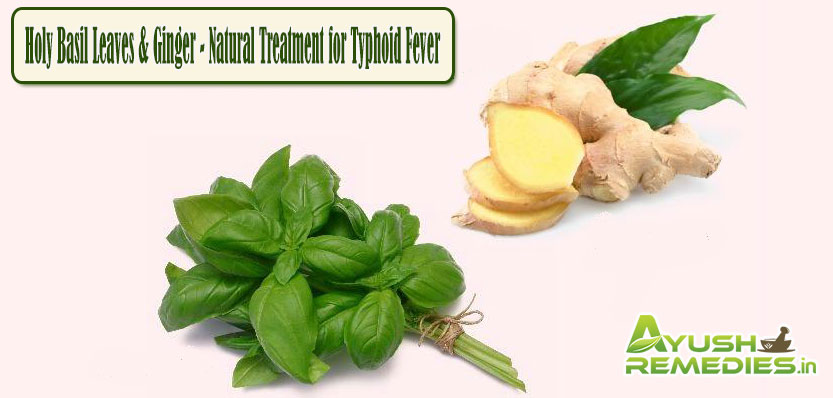 Natural Treatment for Typhoid Fever