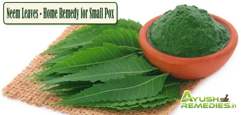 Neem Leaves Home Remedy for Small Pox