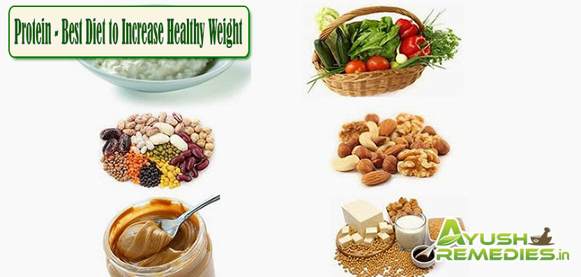 Protein Best Diet to Increase Healthy Weight