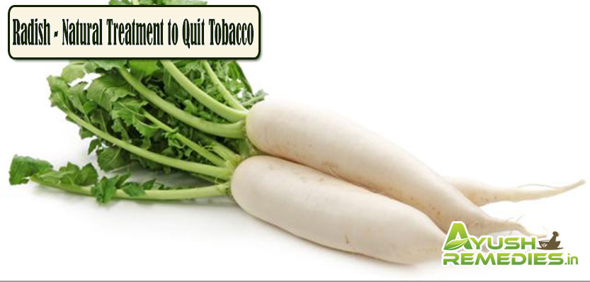 Radish Natural Treatment to Quit Tabacco