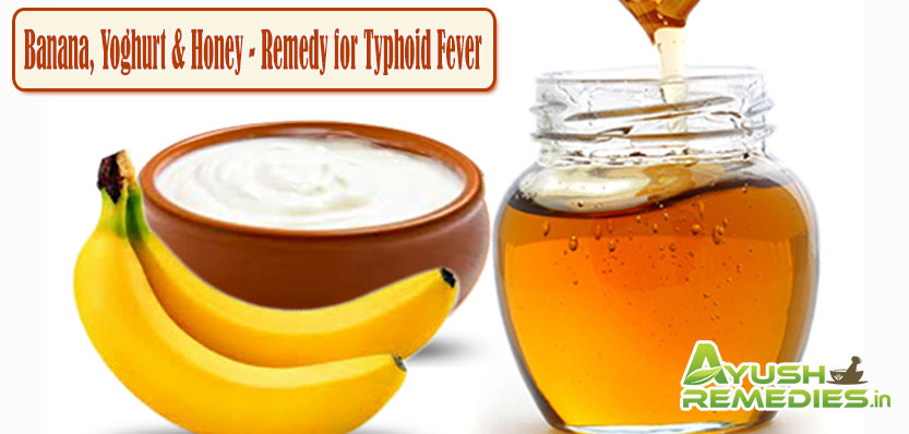 Remedy for Typhoid Fever