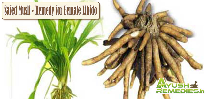 Safed Musli Remedy for Female Libido