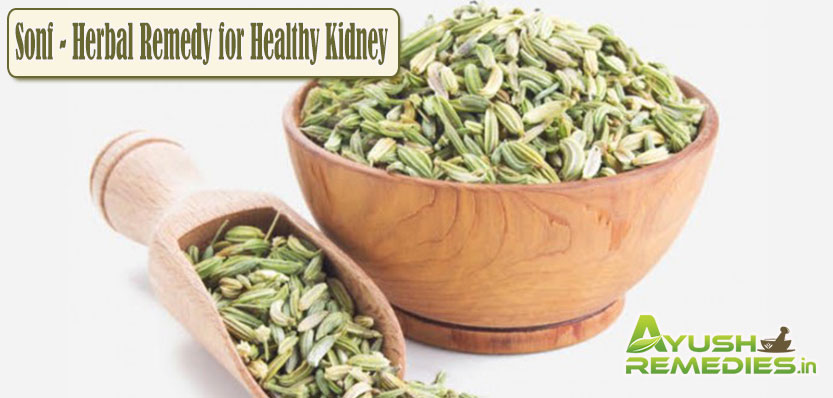 Sonf Herbal Remedy for Healthy Kidney