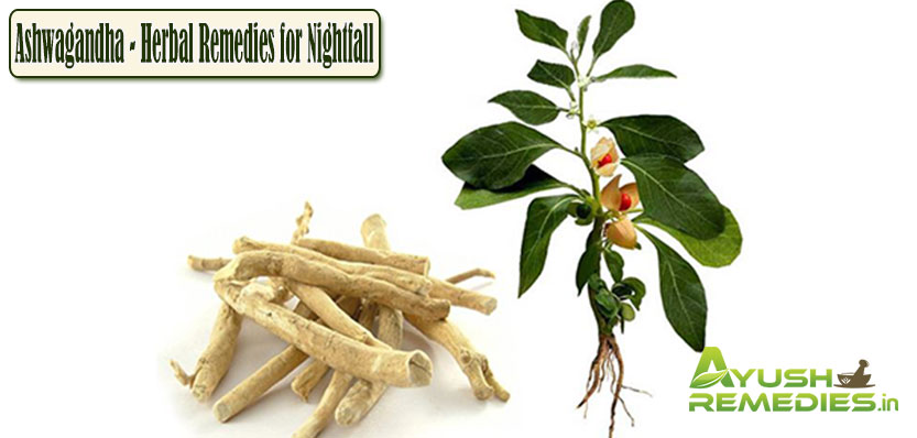 Ashwagandha