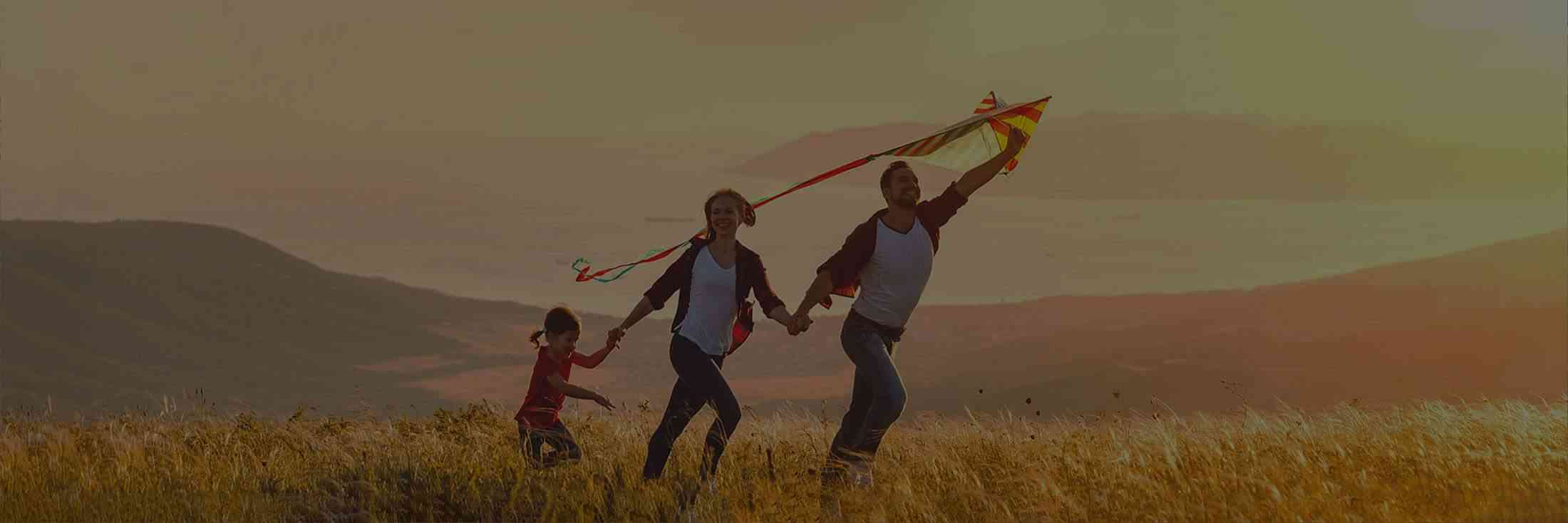 Ayurvedic Remedies, Herbal Treatment